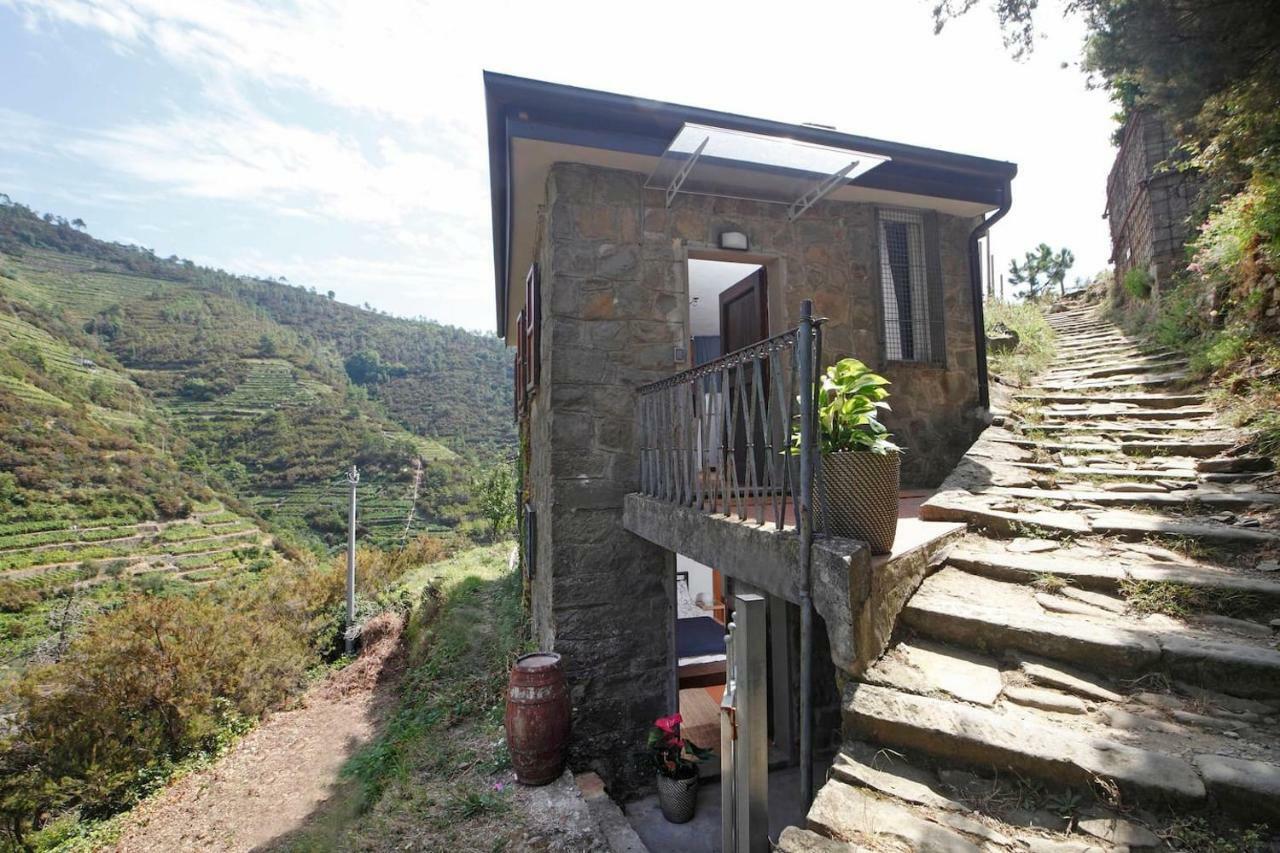 Fiesse Cottage Manarola Exteriör bild